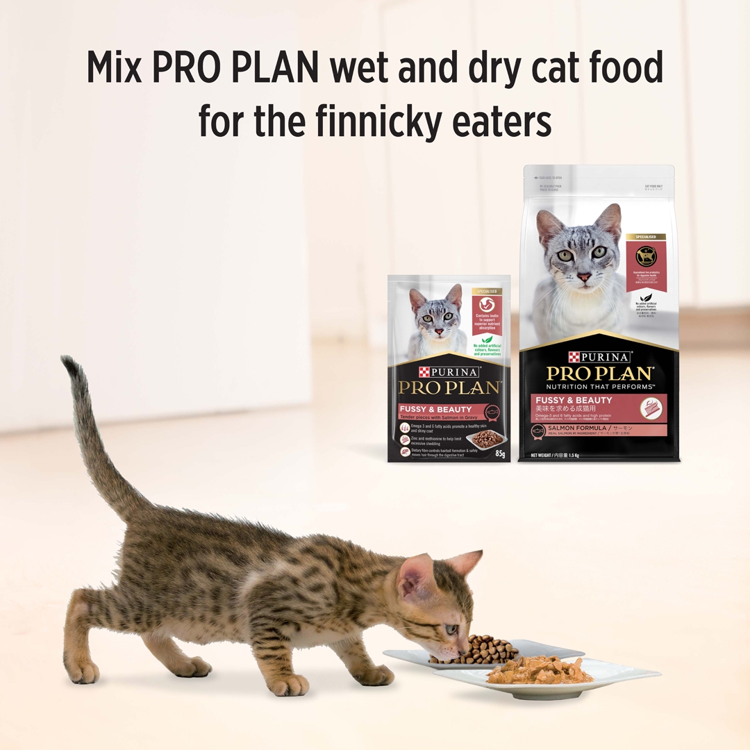 Wet cat food shop for fussy eaters